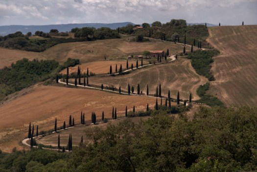 Maralee_Park_070530_01181-Edit-2