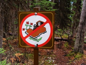 Maralee_Park_081003_02149-Edit