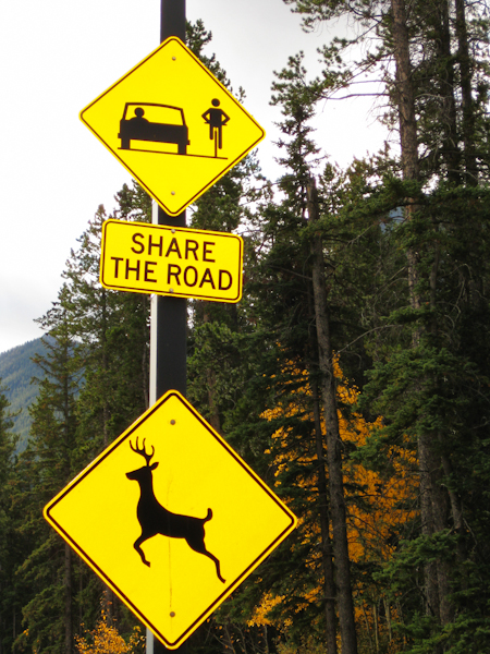 Maralee_Park_081006_02816-Edit