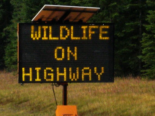 Maralee_Park_081008_02905-Edit