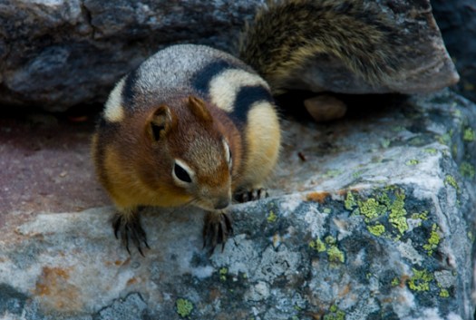 Maralee_Park_100907_06503