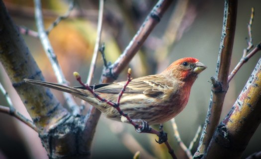 Maralee_Park_130412_45286-Edit-Edit