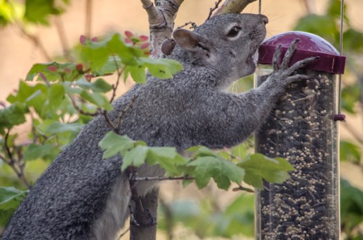 Maralee_Park_130530_48491