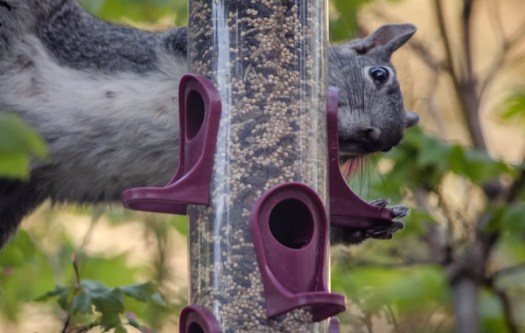 Maralee_Park_130530_48494-Edit