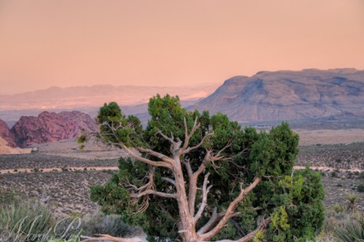 Maralee_Park_130606_48770_69_68