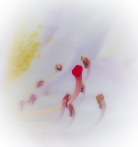 Maralee_Park_130615_49206-Edit