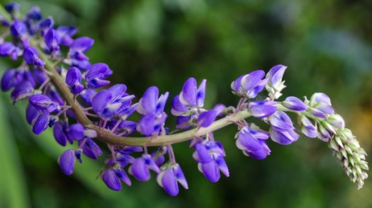 Maralee_Park_130615_49278-Edit