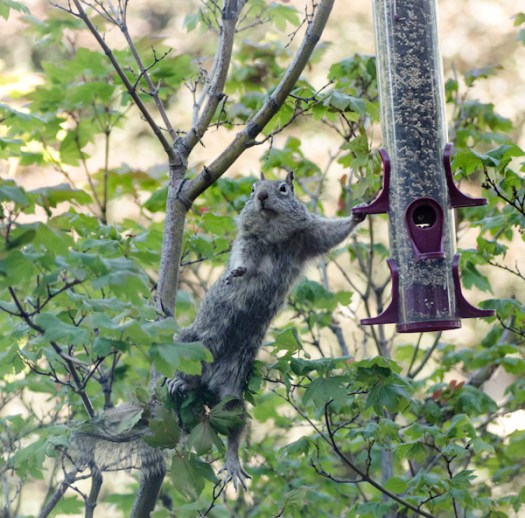 I can almost reach it.