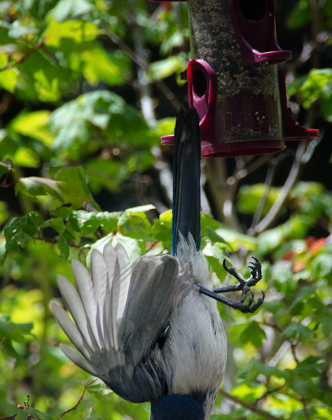 Maralee_Park_130619_49634-Edit