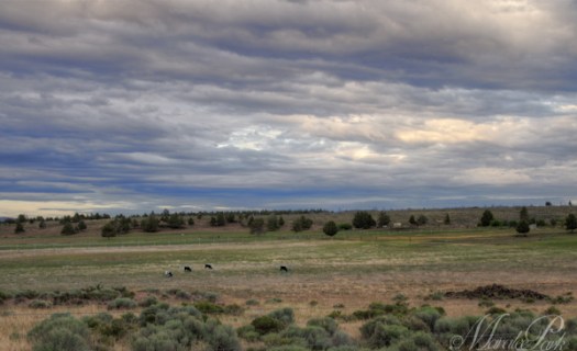 This is where the moon was supposed to come up.