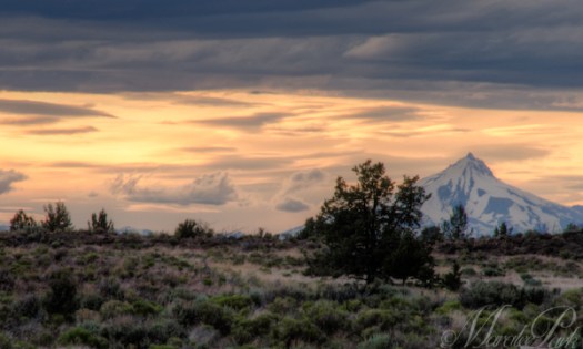 The sunset was gorgeous.