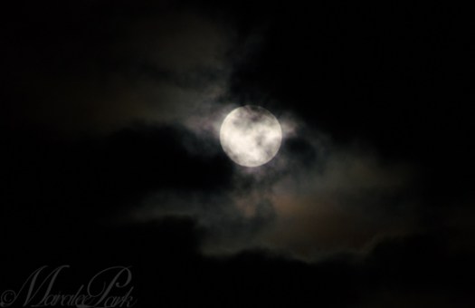 The super moon behind the clouds.