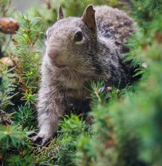 Maralee_Park_130623_49904