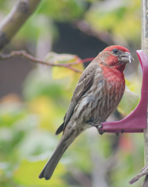 Maralee_Park_130624_49929-Edit