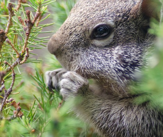 Maralee_Park_130624_49954-Edit