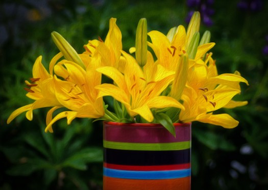 Maralee_Park_130626_50042-Edit-Edit