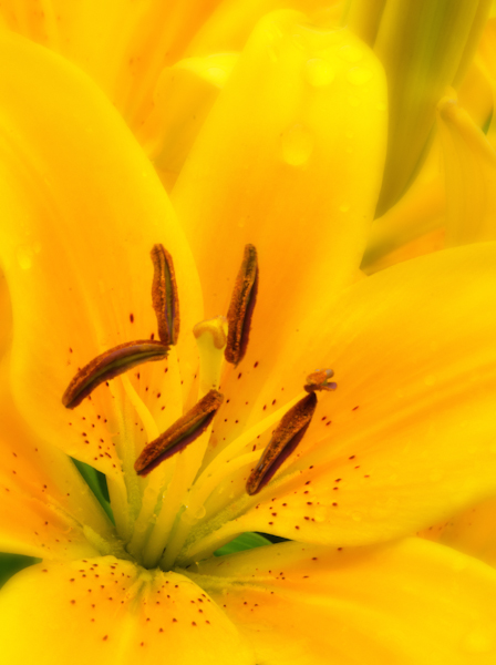 Maralee_Park_130626_50084-Edit