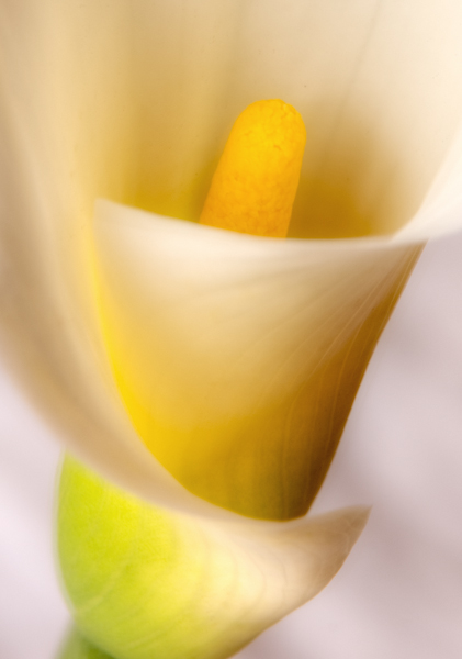 Maralee_Park_Day88_00005