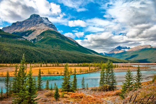 Along the Columbia Icefields Parkway