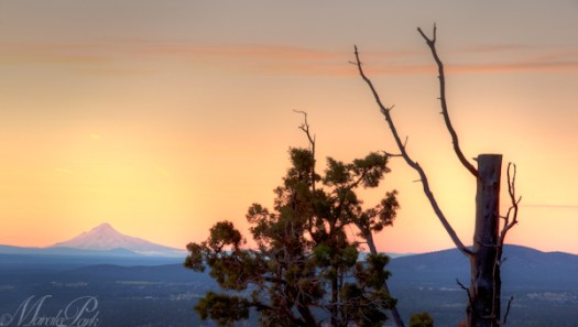 Maralee_Park_120613_27903_902_901_900_899-Edit