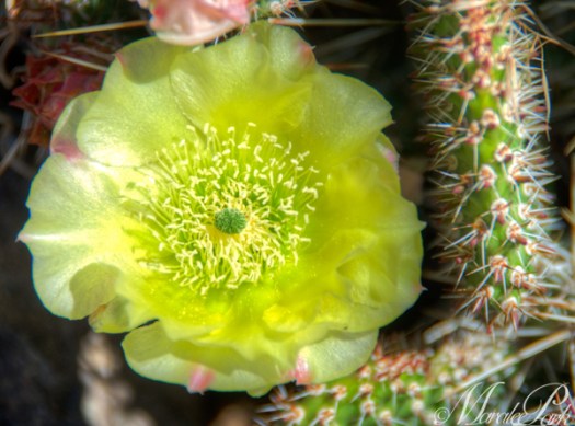 Maralee_Park_130621_49767_6_5-Edit