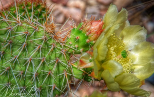 Maralee_Park_130621_49779_8_7-Edit-Edit