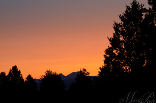 Maralee_Park_130701_50364-Edit