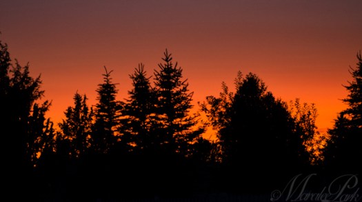 Maralee_Park_130701_50367-Edit