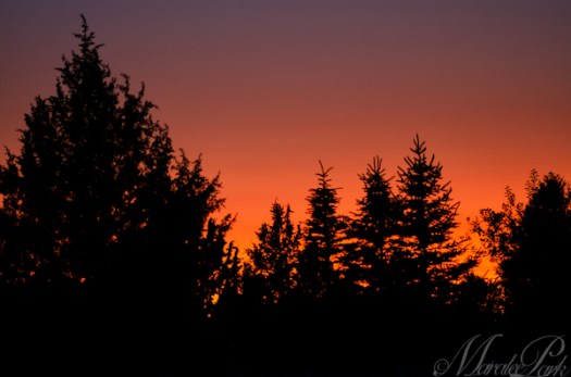 Maralee_Park_130701_50371-Edit-Edit