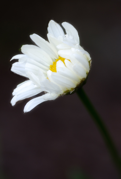 Maralee_Park_130708_50576-Edit