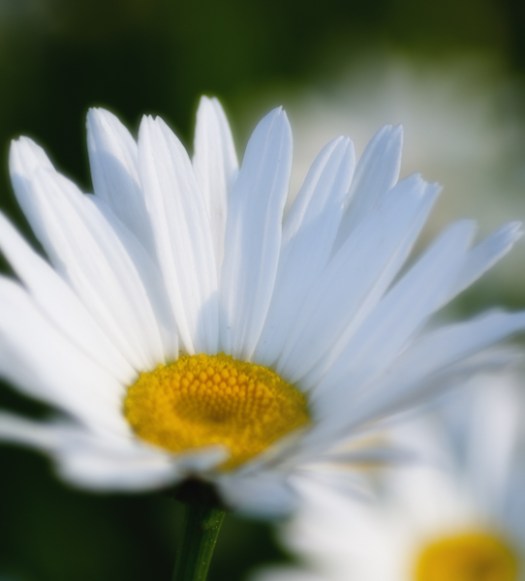 Maralee_Park_130709_50583-Edit