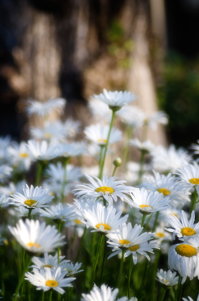 Maralee_Park_130709_50586-Edit