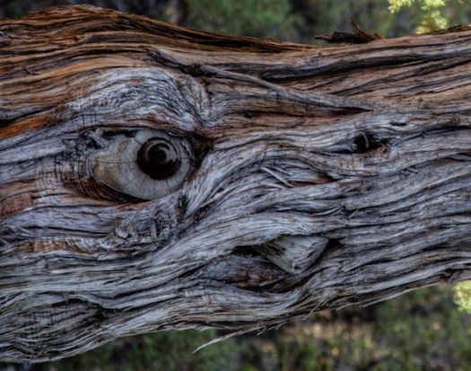 I do believe it is mocking me.