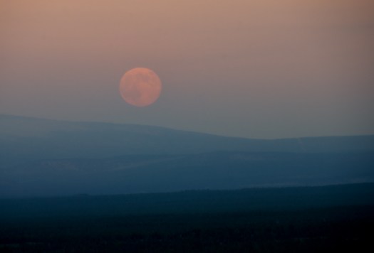 Hazy, smoky moon.