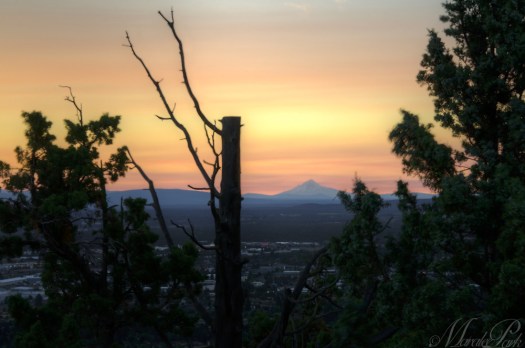 Maralee_Park_130722_51762_1_0