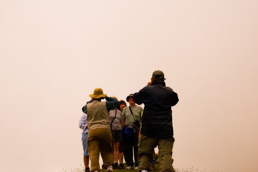 The idiots brave people standing on the ledge.