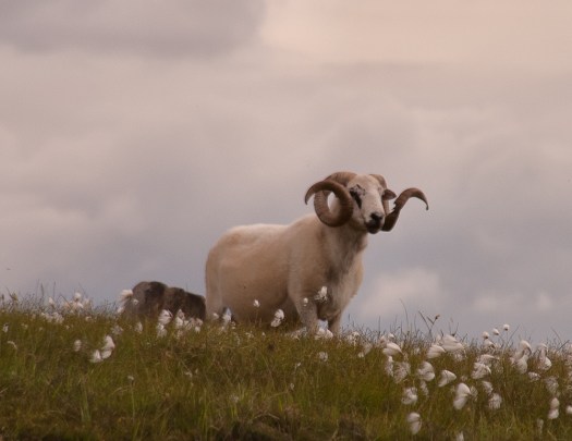 Maralee_Park_070619_01708-Edit