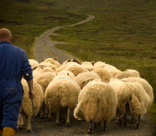 Maralee_Park_070622_02081