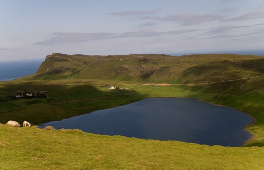 Maralee_Park_070622_02177