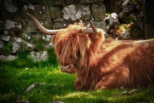 Maralee_Park_070622_02271_HDR