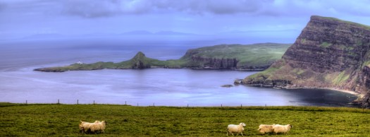 Maralee_Park_070622_03967