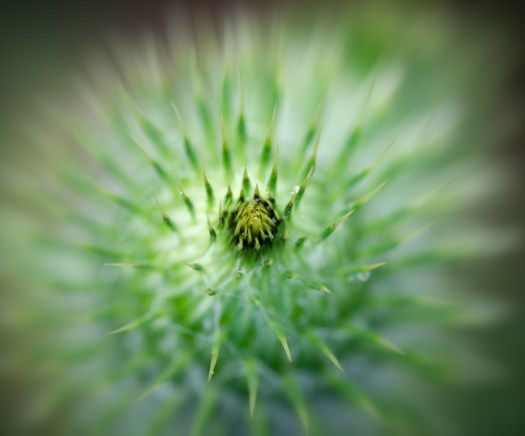 Maralee_Park_130801_51981-Edit