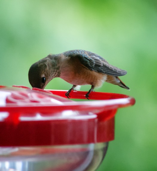 Maralee_Park_130808_52252-Edit-Edit