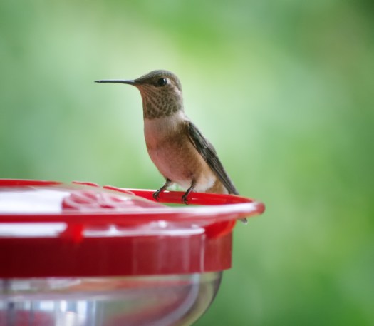 Maralee_Park_130808_52257-Edit