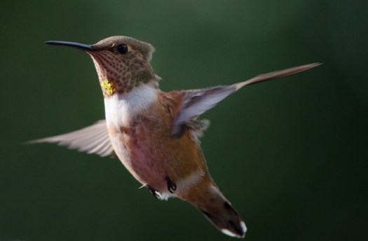 Maralee_Park_130810_52326-Edit