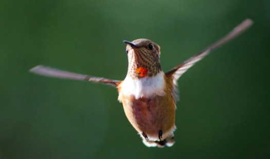 Maralee_Park_130810_52327-Edit