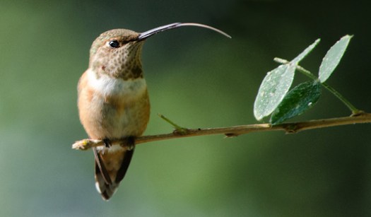 Maralee_Park_130810_52347-Edit