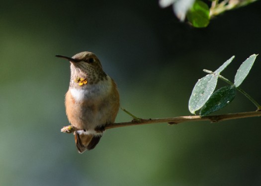 Maralee_Park_130810_52363-Edit