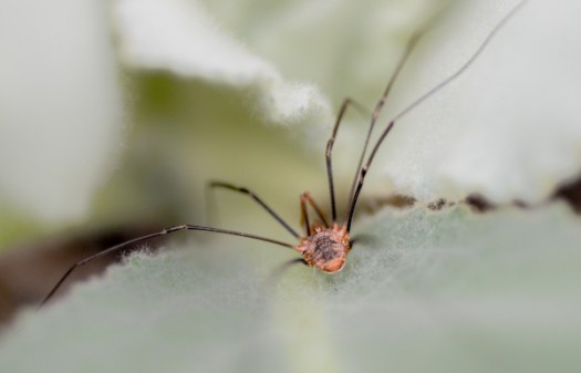 Maralee_Park_130814_52437