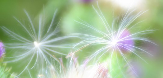 Maralee_Park_130814_52531